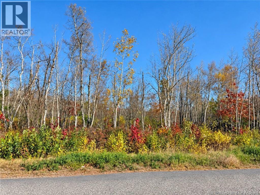 / Rue Omer, Pointe-À-Tom, New Brunswick  E1X 3X1 - Photo 3 - NB149854