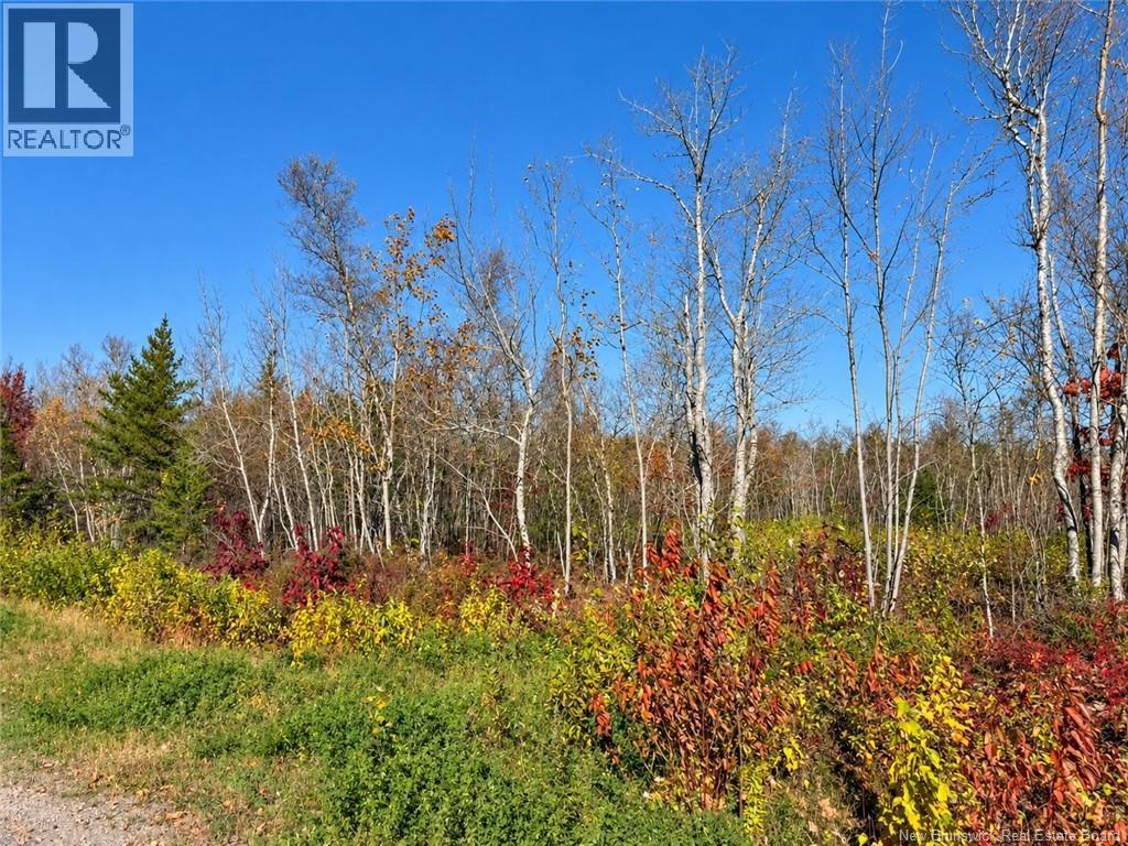 / Rue Omer, Pointe-À-Tom, New Brunswick  E1X 3X1 - Photo 4 - NB149854
