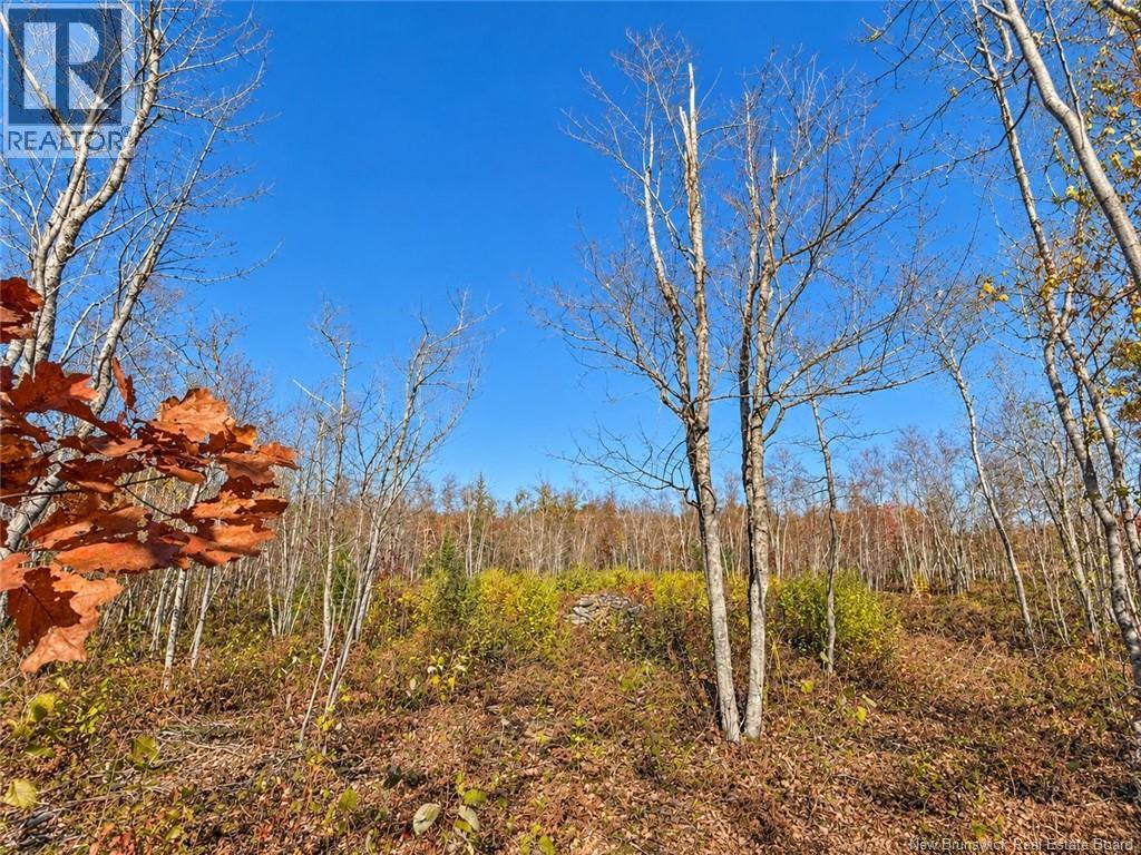 / Rue Omer, Pointe-À-Tom, New Brunswick  E1X 3X1 - Photo 5 - NB149854