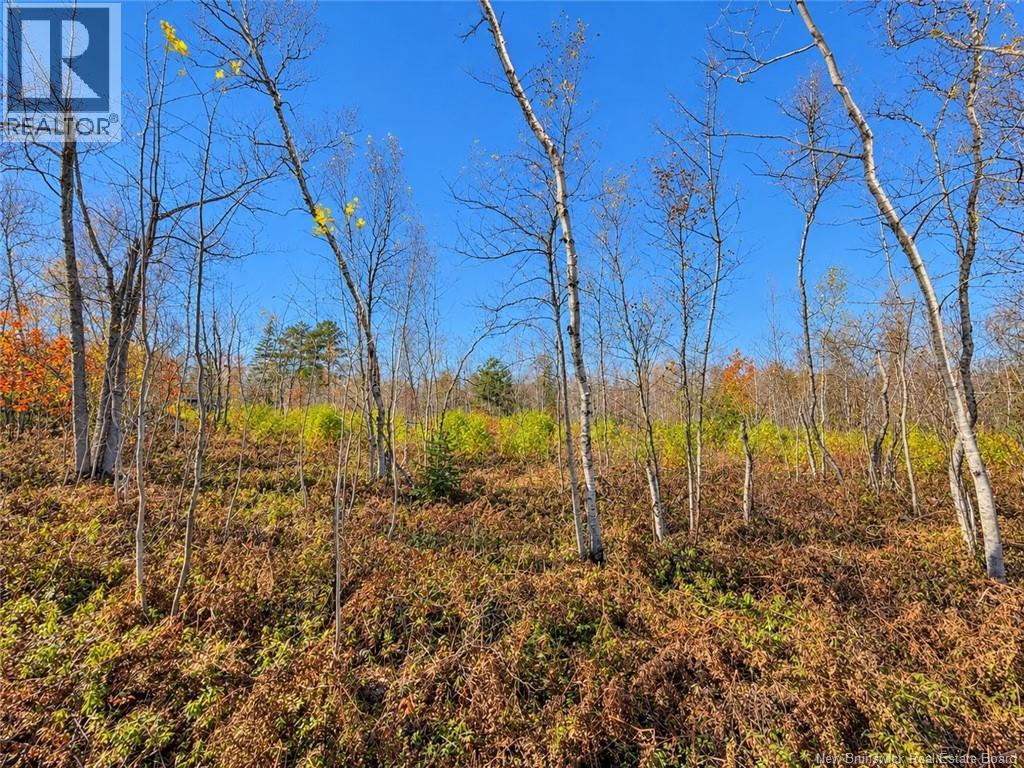 / Rue Omer, Pointe-À-Tom, New Brunswick  E1X 3X1 - Photo 6 - NB149854