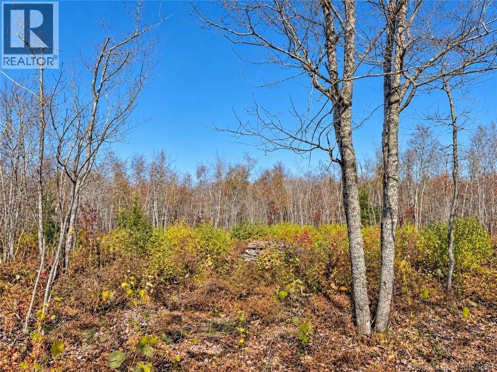 / Rue Omer, Pointe-À-Tom, New Brunswick  E1X 3X1 - Photo 7 - NB149854