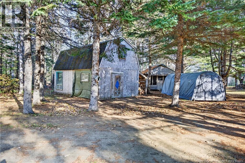 735 Route 445, Fairisle, New Brunswick  E9G 2W8 - Photo 11 - NB150156