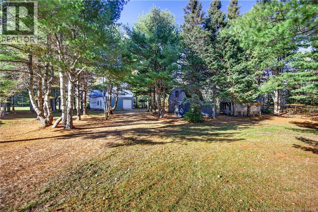 735 Route 445, Fairisle, New Brunswick  E9G 2W8 - Photo 12 - NB150156