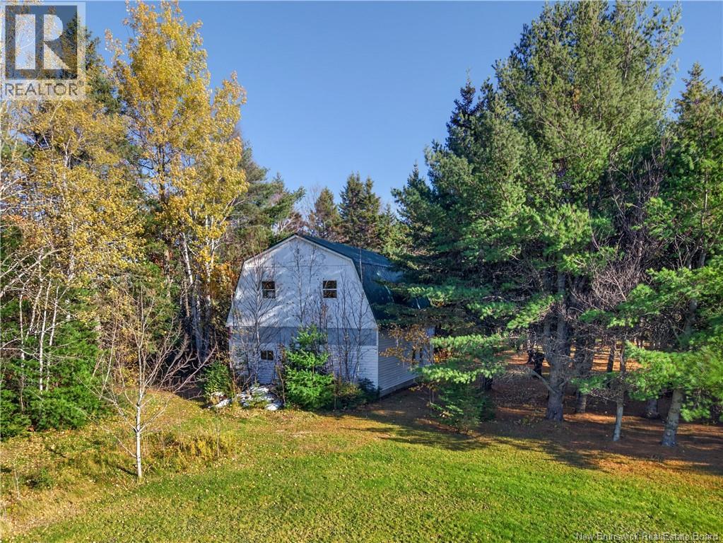 735 Route 445, Fairisle, New Brunswick  E9G 2W8 - Photo 13 - NB150156