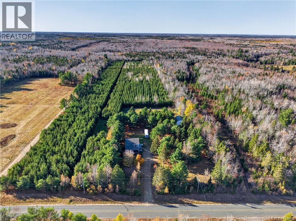 735 Route 445, Fairisle, New Brunswick  E9G 2W8 - Photo 15 - NB150156