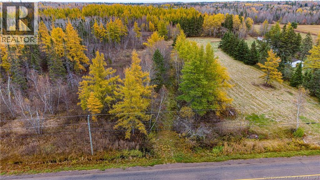 3457 Route 490, Dundas, New Brunswick  E1G 3R7 - Photo 19 - NB150151