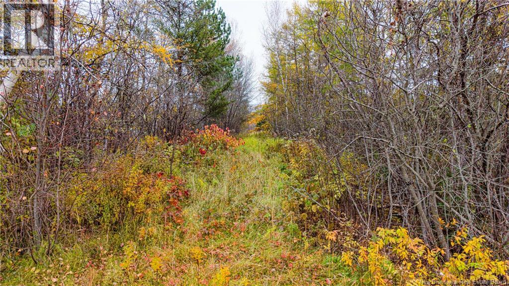 3457 Route 490, Dundas, New Brunswick  E1G 3R7 - Photo 20 - NB150151