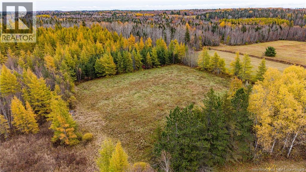 3457 Route 490, Dundas, New Brunswick  E1G 3R7 - Photo 21 - NB150151