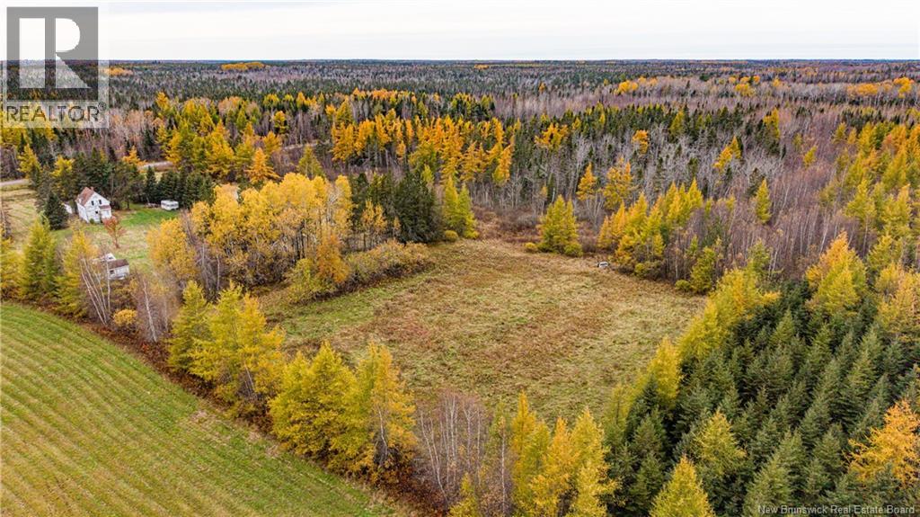 3457 Route 490, Dundas, New Brunswick  E1G 3R7 - Photo 26 - NB150151