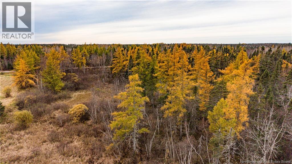 3457 Route 490, Dundas, New Brunswick  E1G 3R7 - Photo 31 - NB150151