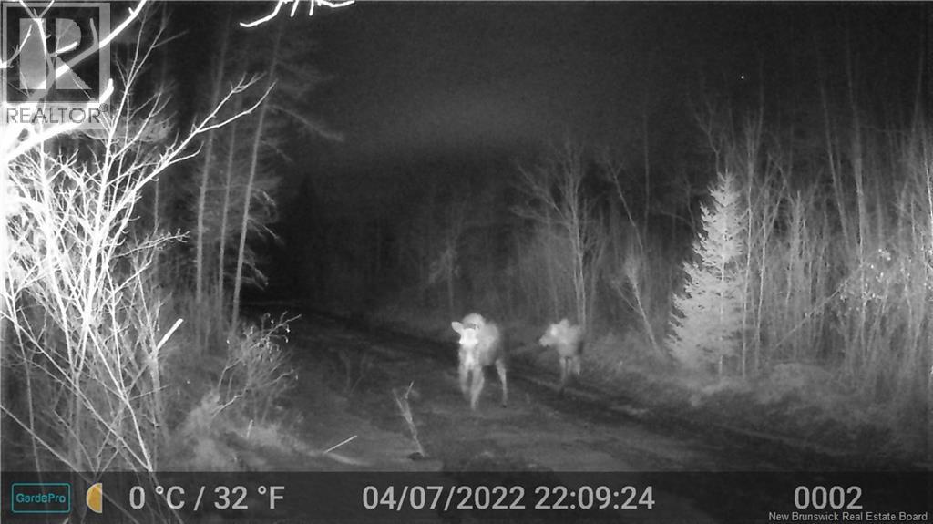 3457 Route 490, Dundas, New Brunswick  E1G 3R7 - Photo 5 - NB150151