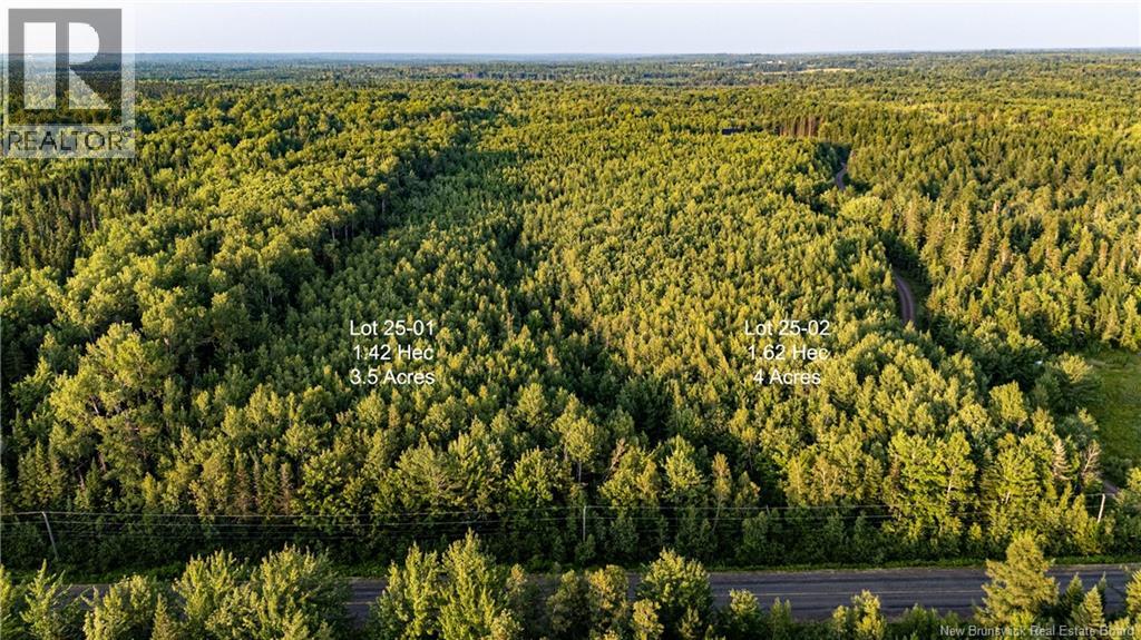 Lot 25-02 Route 490, Dundas, New Brunswick  E1G 3R7 - Photo 1 - NB150150