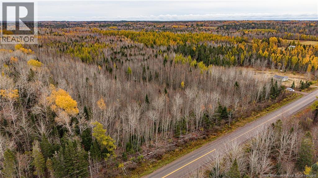 Lot 25-02 Route 490, Dundas, New Brunswick  E1G 3R7 - Photo 19 - NB150150
