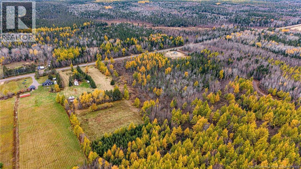Lot 25-02 Route 490, Dundas, New Brunswick  E1G 3R7 - Photo 29 - NB150150