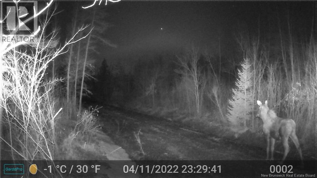 Lot 25-02 Route 490, Dundas, New Brunswick  E1G 3R7 - Photo 5 - NB150150