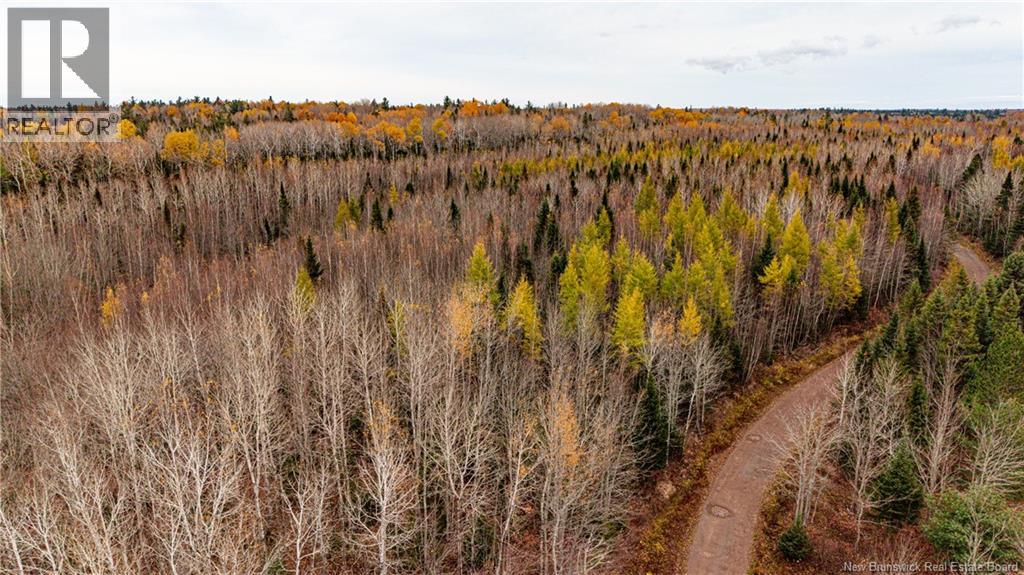 Lot 25-02 Route 490, Dundas, New Brunswick  E1G 3R7 - Photo 6 - NB150150