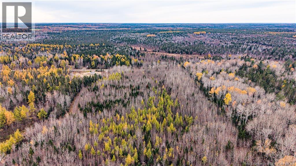 Lot 25-02 Route 490, Dundas, New Brunswick  E1G 3R7 - Photo 8 - NB150150