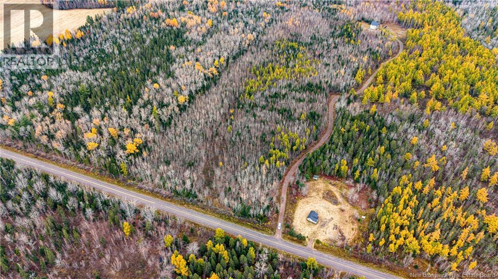 Lot 25-01 Route 490, Dundas, New Brunswick  E1G 3R7 - Photo 17 - NB150149