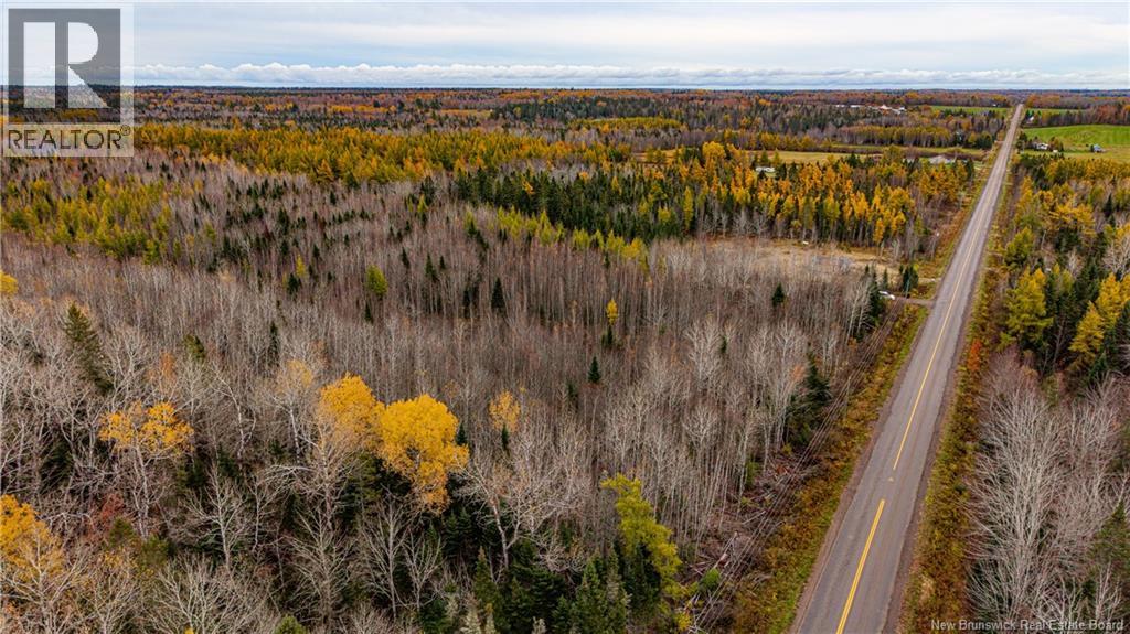 Lot 25-01 Route 490, Dundas, New Brunswick  E1G 3R7 - Photo 19 - NB150149