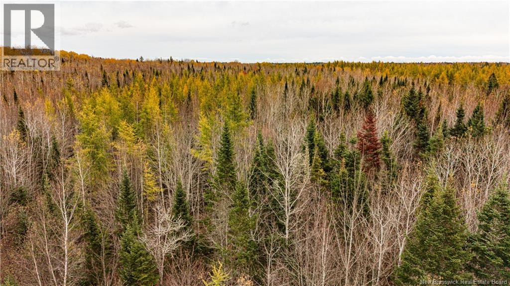 Lot 25-01 Route 490, Dundas, New Brunswick  E1G 3R7 - Photo 21 - NB150149