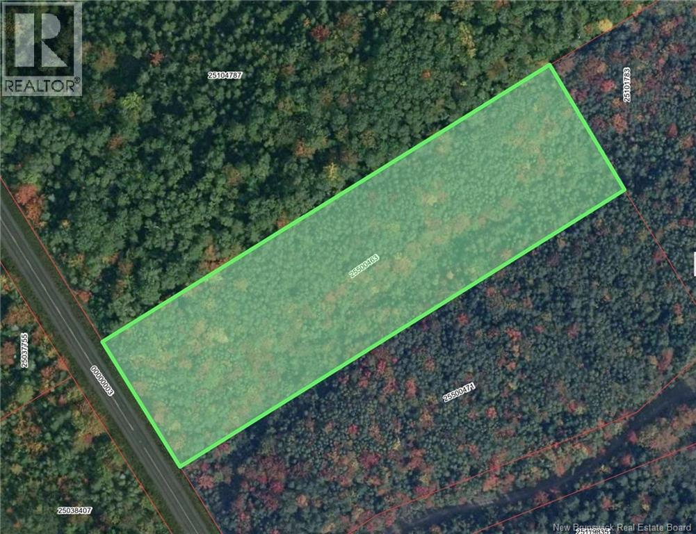 Lot 25-01 Route 490, Dundas, New Brunswick  E1G 3R7 - Photo 9 - NB150149