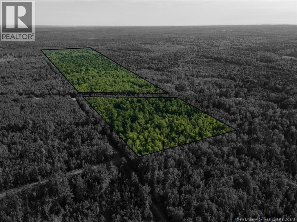 Lot Brown Road, Richibucto, New Brunswick  E4W 2P6 - Photo 1 - NB150203