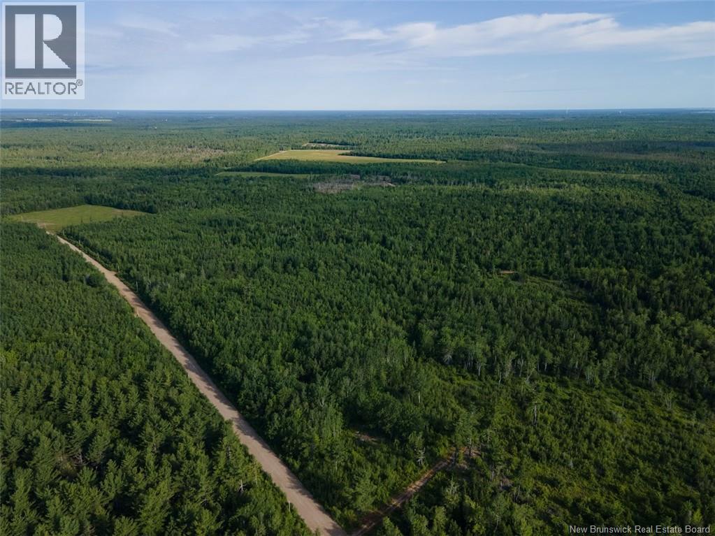 Lot Brown Road, Richibucto, New Brunswick  E4W 2P6 - Photo 10 - NB150203