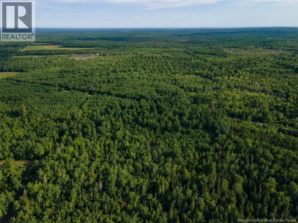 Lot Brown Road, Richibucto, New Brunswick  E4W 2P6 - Photo 11 - NB150203