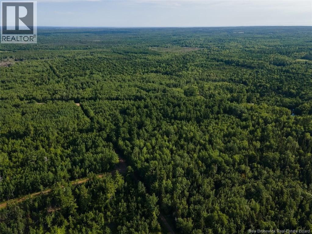 Lot Brown Road, Richibucto, New Brunswick  E4W 2P6 - Photo 12 - NB150203