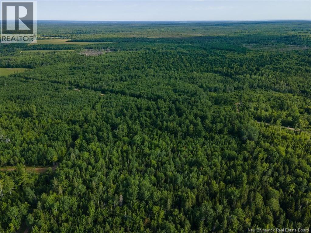 Lot Brown Road, Richibucto, New Brunswick  E4W 2P6 - Photo 2 - NB150203