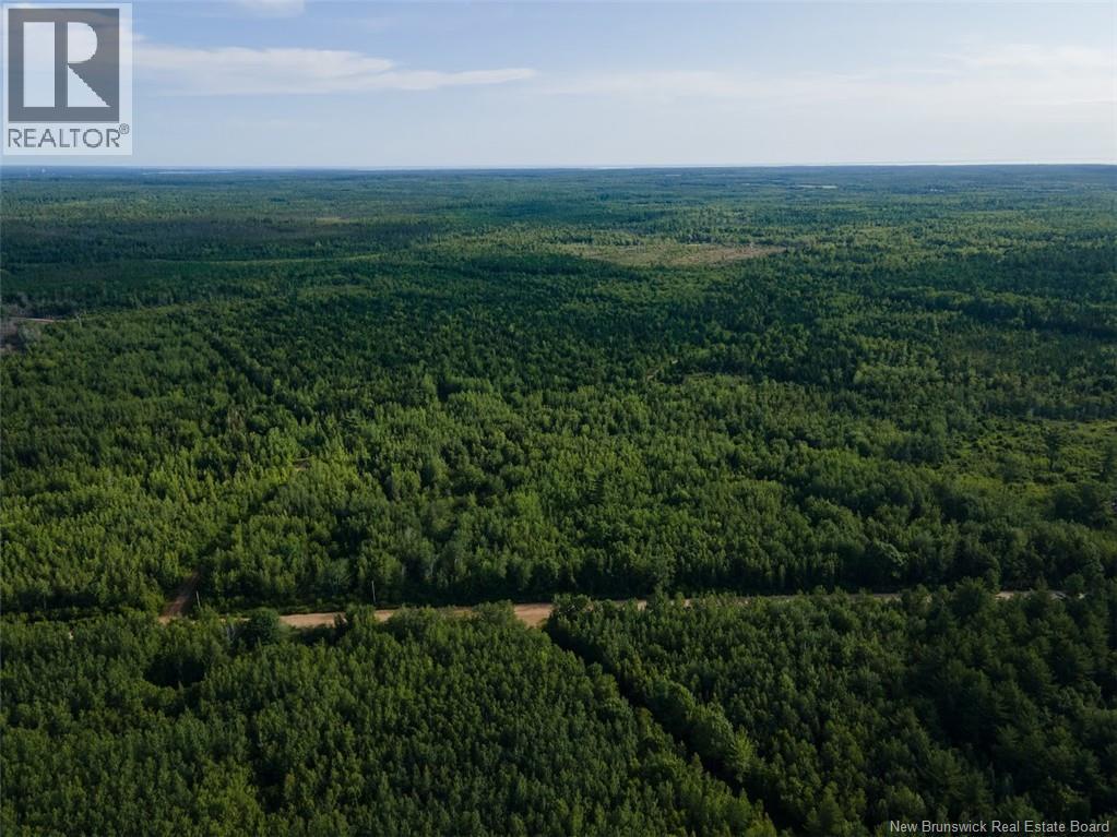 Lot Brown Road, Richibucto, New Brunswick  E4W 2P6 - Photo 3 - NB150203