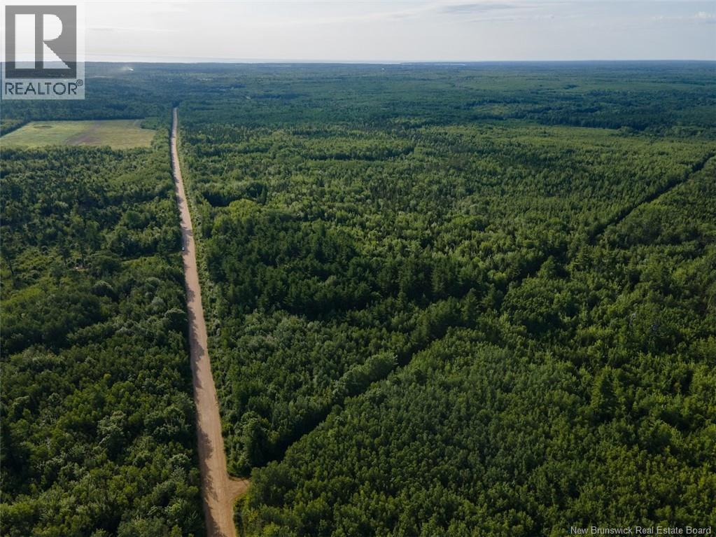 Lot Brown Road, Richibucto, New Brunswick  E4W 2P6 - Photo 4 - NB150203