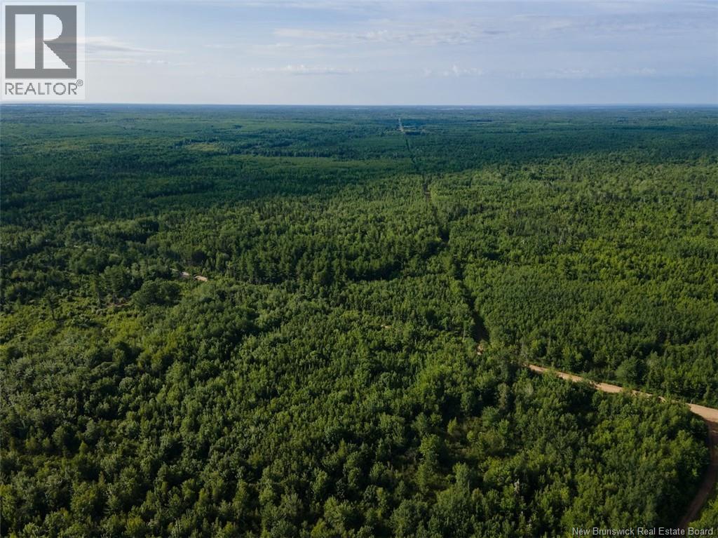 Lot Brown Road, Richibucto, New Brunswick  E4W 2P6 - Photo 5 - NB150203