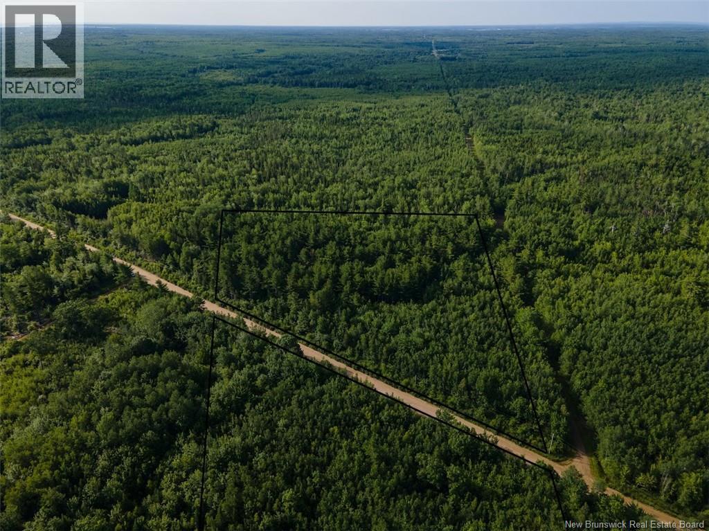 Lot Brown Road, Richibucto, New Brunswick  E4W 2P6 - Photo 6 - NB150203