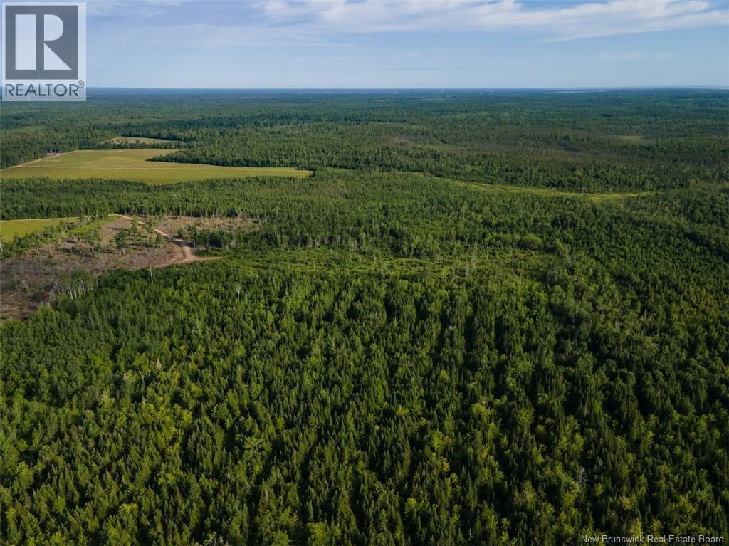 Lot Brown Road, Richibucto, New Brunswick  E4W 2P6 - Photo 7 - NB150203