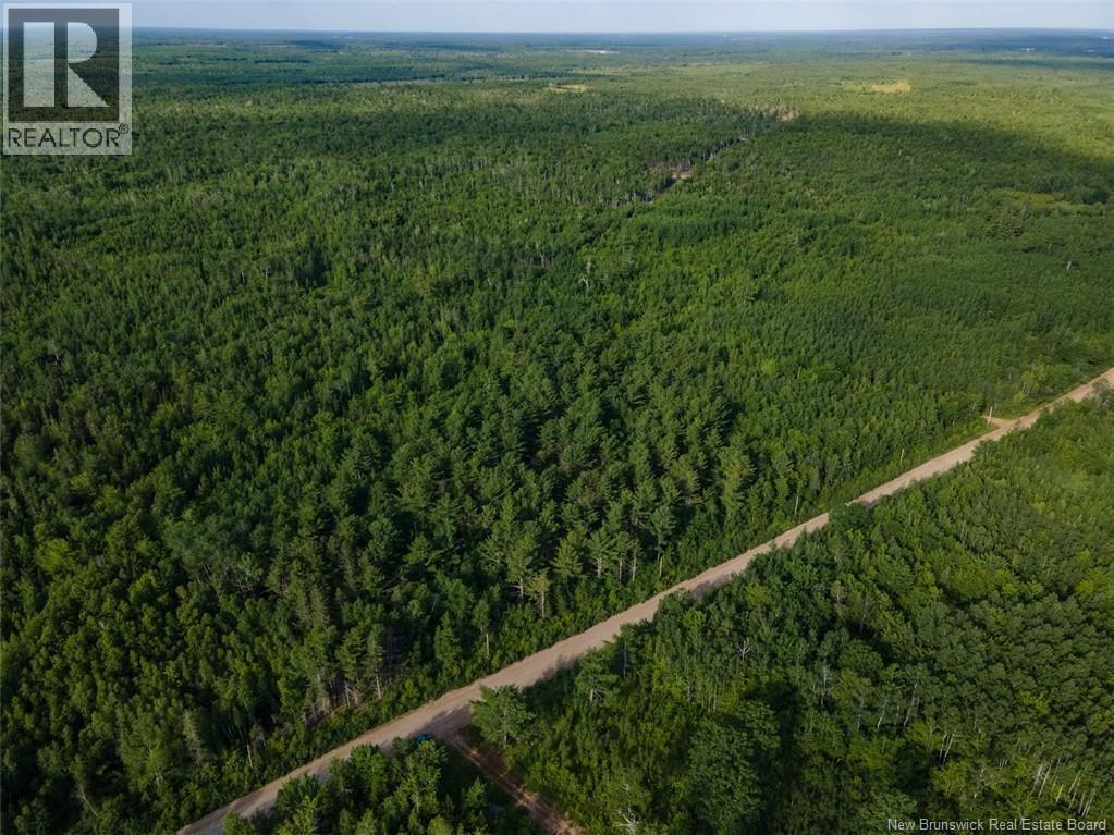 Lot Brown Road, Richibucto, New Brunswick  E4W 2P6 - Photo 8 - NB150203