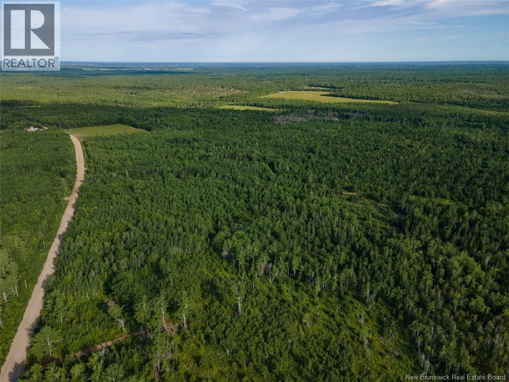 Lot Brown Road, Richibucto, New Brunswick  E4W 2P6 - Photo 9 - NB150203