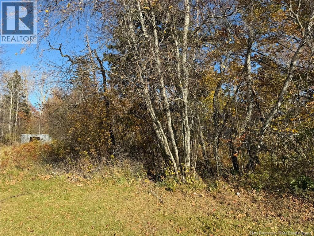 215 Rue Robichaud, Cap-Pelé, New Brunswick  E4N 1Y5 - Photo 15 - NB150202