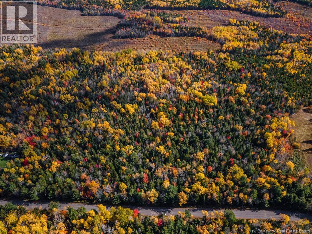 Lot 25-5 Buckley Settlement Road, Anagance, New Brunswick  E4Z 1B9 - Photo 2 - NB150077