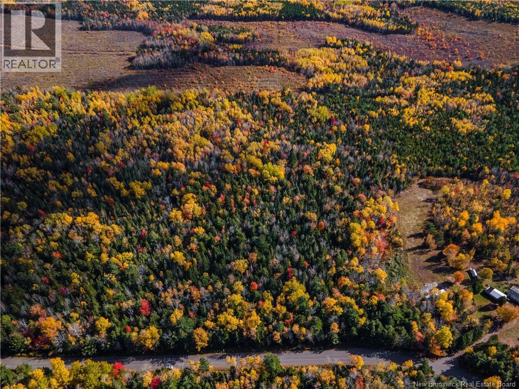 Lot 25-5 Buckley Settlement Road, Anagance, New Brunswick  E4Z 1B9 - Photo 3 - NB150077