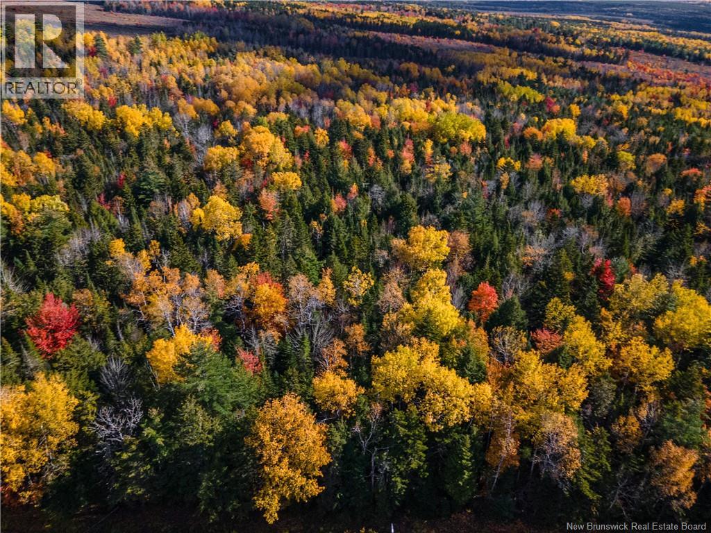 Lot 25-5 Buckley Settlement Road, Anagance, New Brunswick  E4Z 1B9 - Photo 8 - NB150077