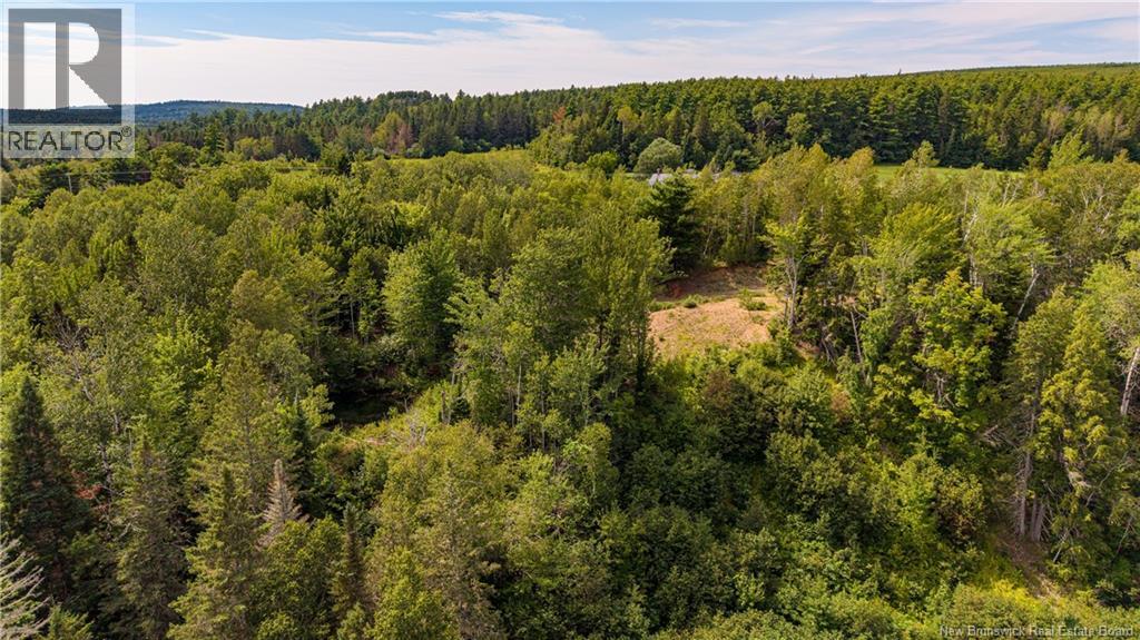 1953 Route 895, Elgin, New Brunswick E4Z 6H2 - Photo 12 - NB150152