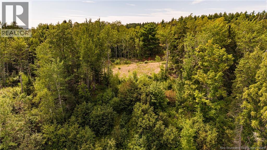 1953 Route 895, Elgin, New Brunswick E4Z 6H2 - Photo 17 - NB150152
