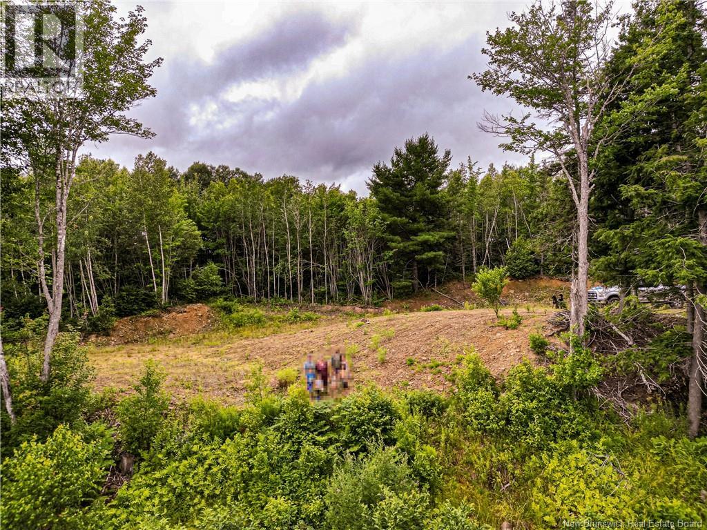 1953 Route 895, Elgin, New Brunswick E4Z 6H2 - Photo 27 - NB150152