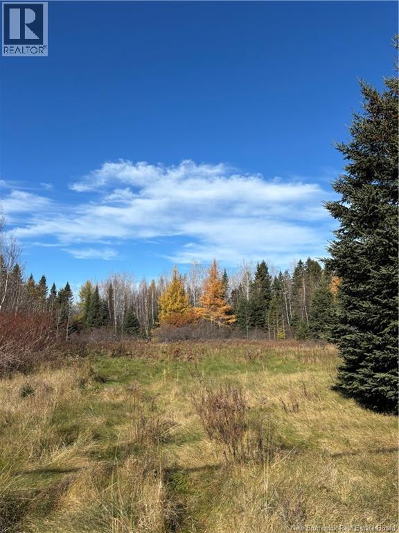 2110 Saint-Charles South Road, Saint-Charles, New Brunswick  E4W 4W6 - Photo 3 - NB150267