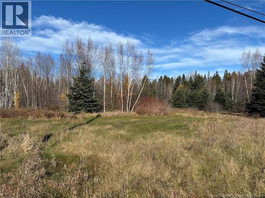 2110 Saint-Charles South Road, Saint-Charles, New Brunswick  E4W 4W6 - Photo 4 - NB150267