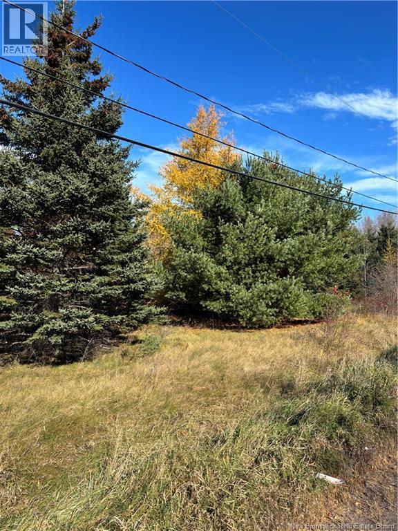 2110 Saint-Charles South Road, Saint-Charles, New Brunswick  E4W 4W6 - Photo 5 - NB150267