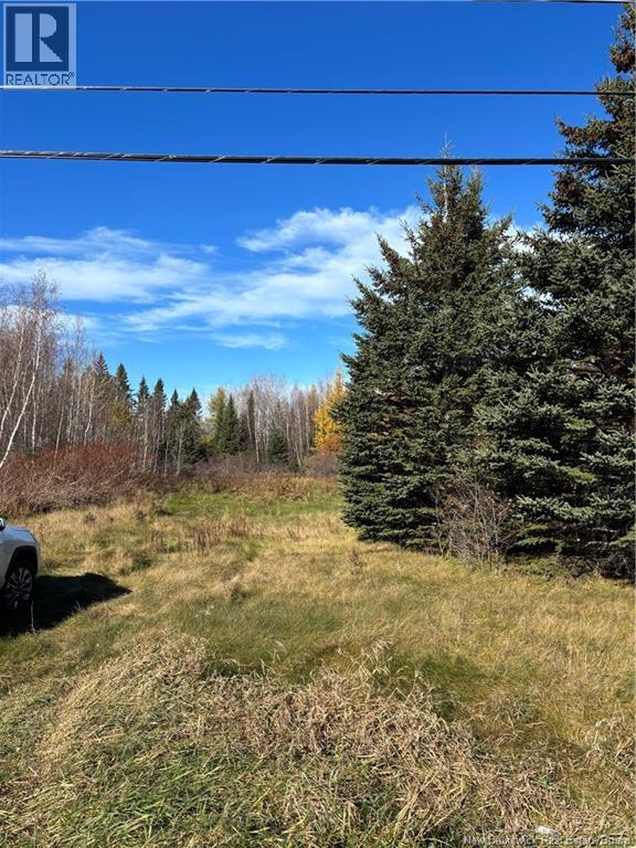 2110 Saint-Charles South Road, Saint-Charles, New Brunswick  E4W 4W6 - Photo 6 - NB150267