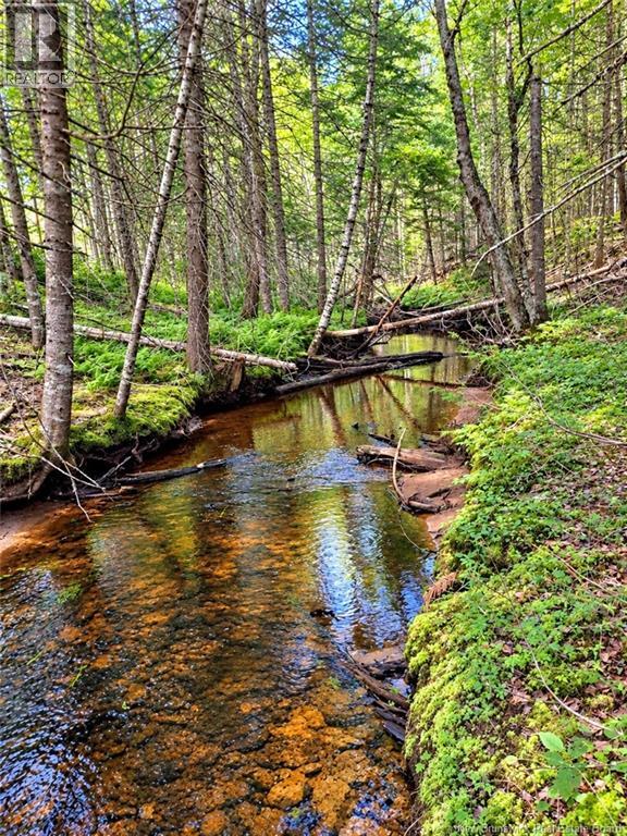 Lot 26-03 Bateman Mill Road, Saint-Philippe, New Brunswick  E1H 1T3 - Photo 13 - NB150325