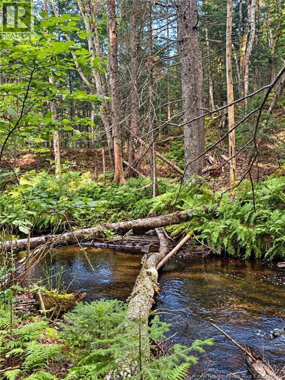 Lot 26-03 Bateman Mill Road, Saint-Philippe, New Brunswick  E1H 1T3 - Photo 4 - NB150325